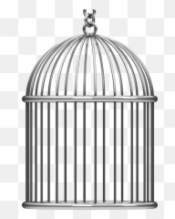 Cage Bird Png - Transparent Background Bird Clipart