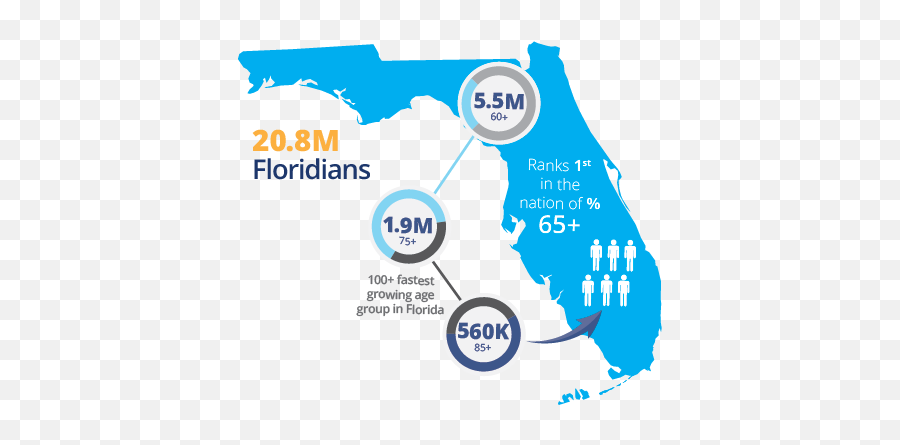 Florida Department Of Elder Affairs - Livable Florida Florida State Map Png,Florida Map Png