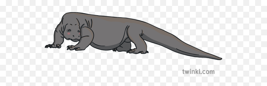 Komodo Dragon Monitor Lizard Reptile Jungle Animal Quiz - Komodo Dragon Png,Komodo Dragon Png