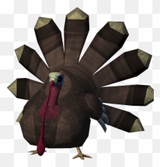Turkey Thanksgiving Event - png