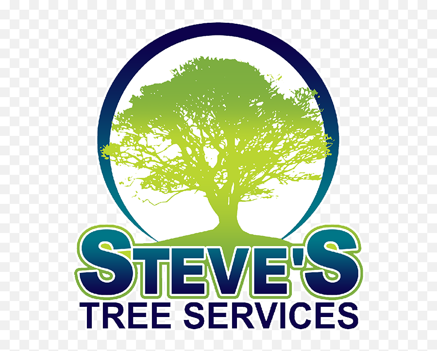 Steveu0027s Tree Service - Oak Tree Silhouette Png,Png Tree.com