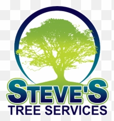 Steveu0027s Tree Service - Oak Silhouette png