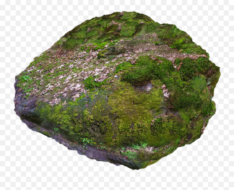 Download Report Abuse - Rock With Moss Png,Moss Png