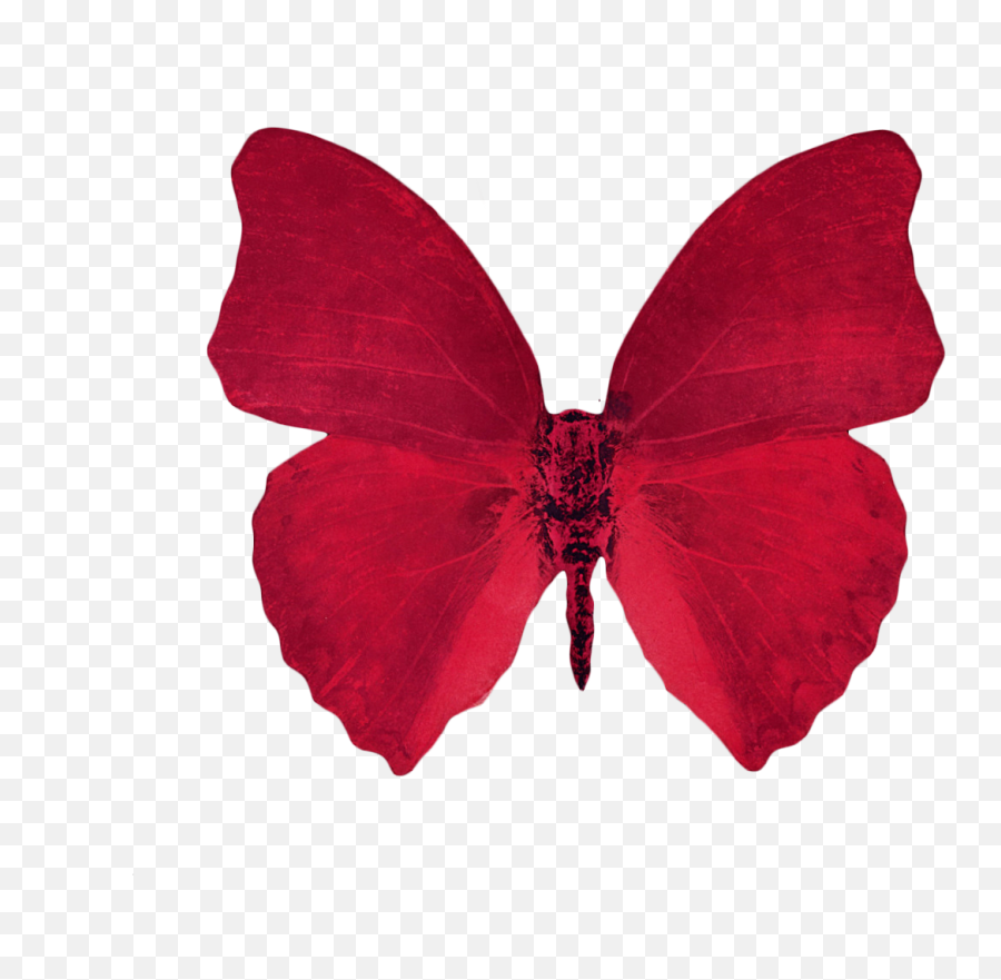 Transparent Png - Red Aesthetic Transparent Background,Transparent Aesthetic