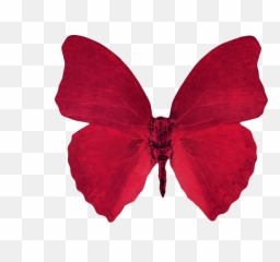 Transparent Png - Red Aesthetic Background
