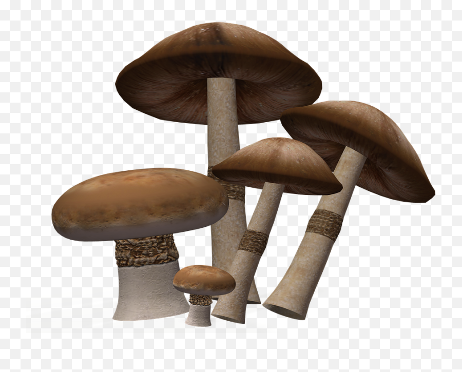 Mushroom Png Image Background - Mushroom,Mushroom Png