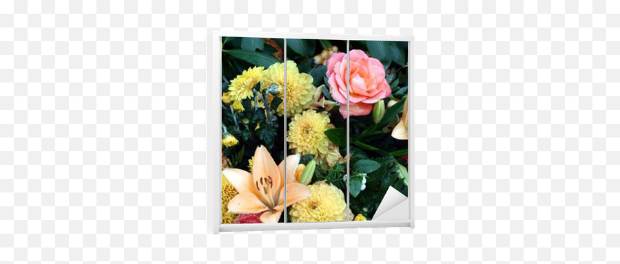 Dead Flower Closeup Wardrobe Sticker U2022 Pixers - We Live To Change Garden Roses Png,Dead Flowers Png