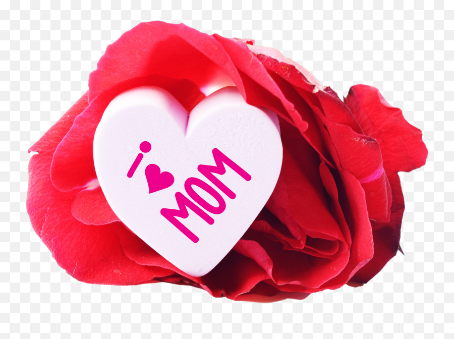 Free I Love Mom Heart And A Rose Png Image - Happy Birthday My Mother,Rose Heart Png