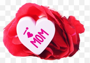 Free I Love Mom Heart And A Rose Png Image - Happy Birthday My Mother,Rose Heart Png