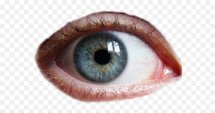 Eye Humaneye Blueeye - Blue Green Eyes Close Up Png,Realistic Eye Png