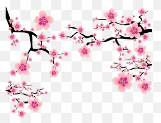 Cherry Blossom Plum Clip Art - Png Transparent