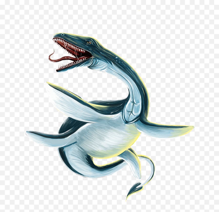 Download Hd The Hawkesbury River Monster - Hawkesbury River Hawkesbury River Monster Png,River Png