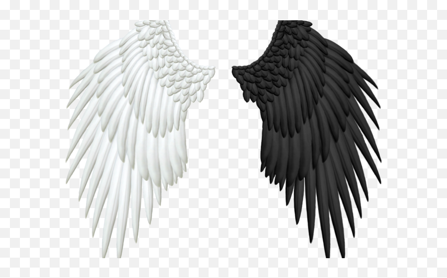 Angel Wings Png 6 - Bird Png For Picsart,Realistic Angel Wings Png