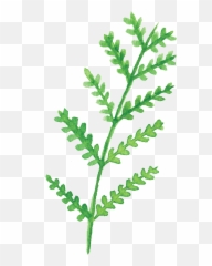 Green White Leaf Cartoon Transparent Full Size Png - Portable Network Graphics