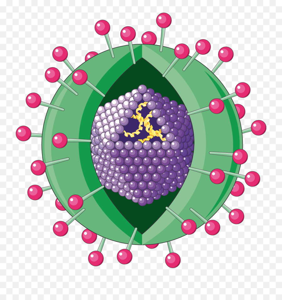 Hepatitis Virus - Hepatitis B Clip Art Png,Virus Png