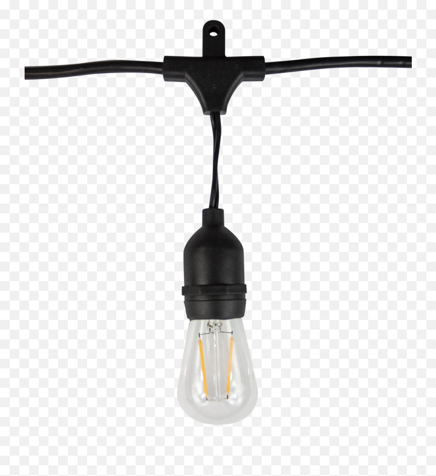 Line Voltage S14 Filament Lamps - Edison Screw Png,String Lights Png Transparent