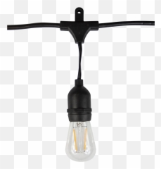 Line Voltage S14 Filament Lamps - Edison Screw Png,String Lights Png Transparent