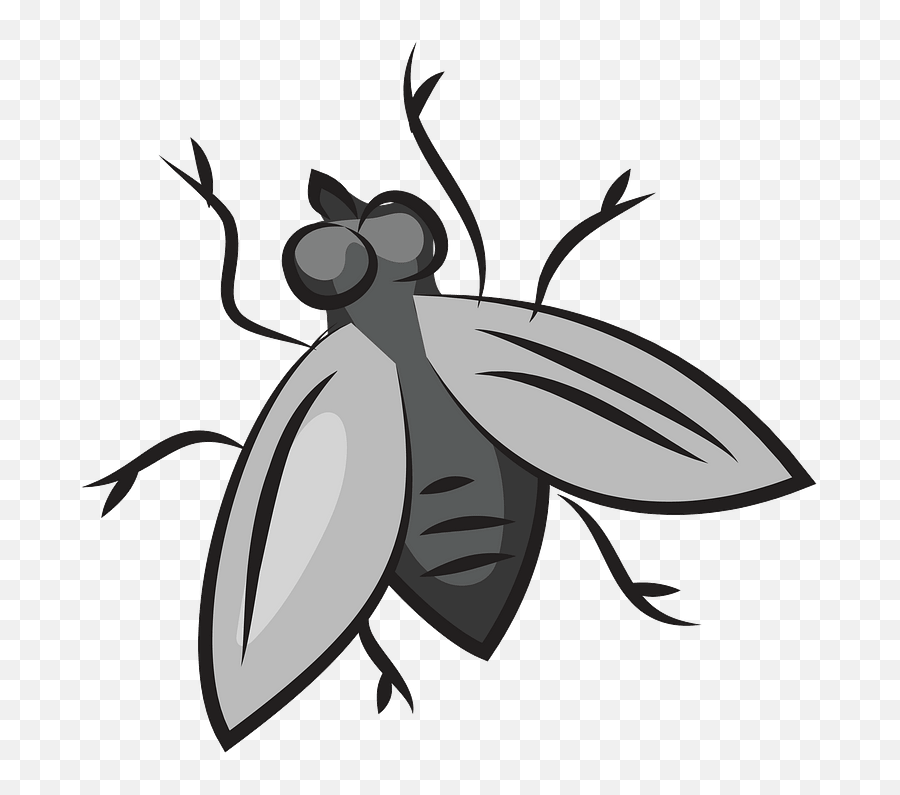Fly Clipart Free Download Transparent Png Creazilla - Fly Clipart,Fly Transparent