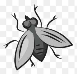 Fly Clipart Free Download Transparent Png Creazilla - Clipart