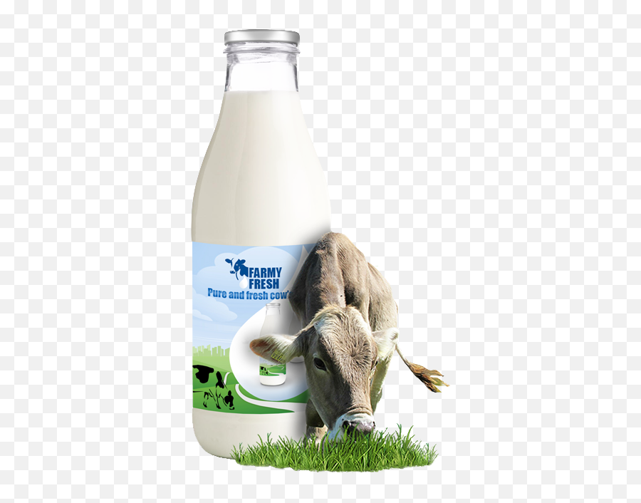 Download Studies Have Linked The Consumption Of Milk - Milk Png With Cow,Milk Png