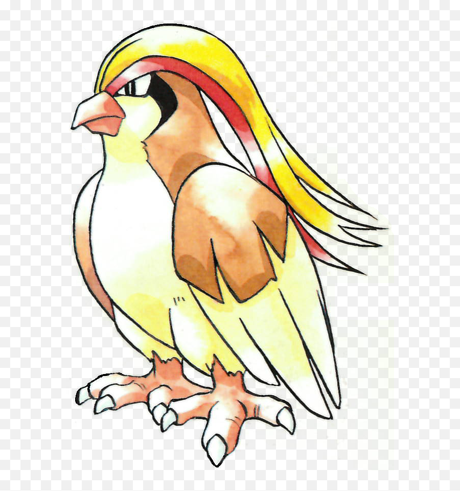 The Golden Pidgeot - The Game Of Nerds Pidgeot Pokemon Png,Pidgey Png
