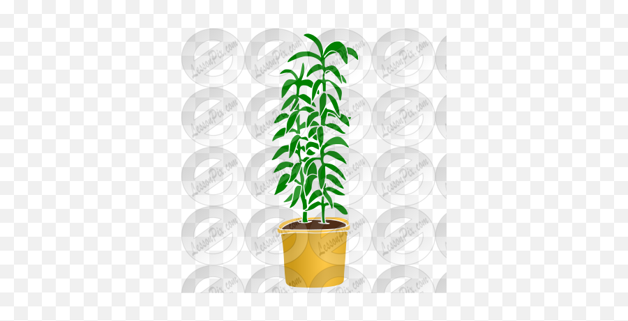 Plant Stencil For Classroom Therapy Use - Great Plant Clipart Flowerpot Png,Transparent Classroom