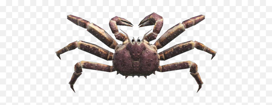 Red King Crab - Animal Crossing New Horizons Red King Crab Png,Crab Legs Png