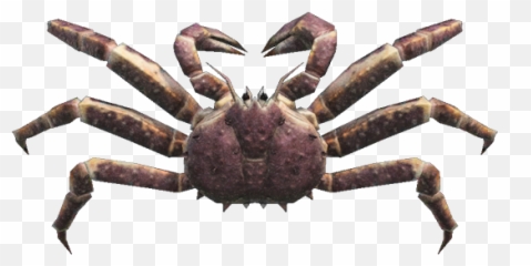 Red King Crab - Animal Crossing New Horizons Red King Crab Png,Crab Legs Png