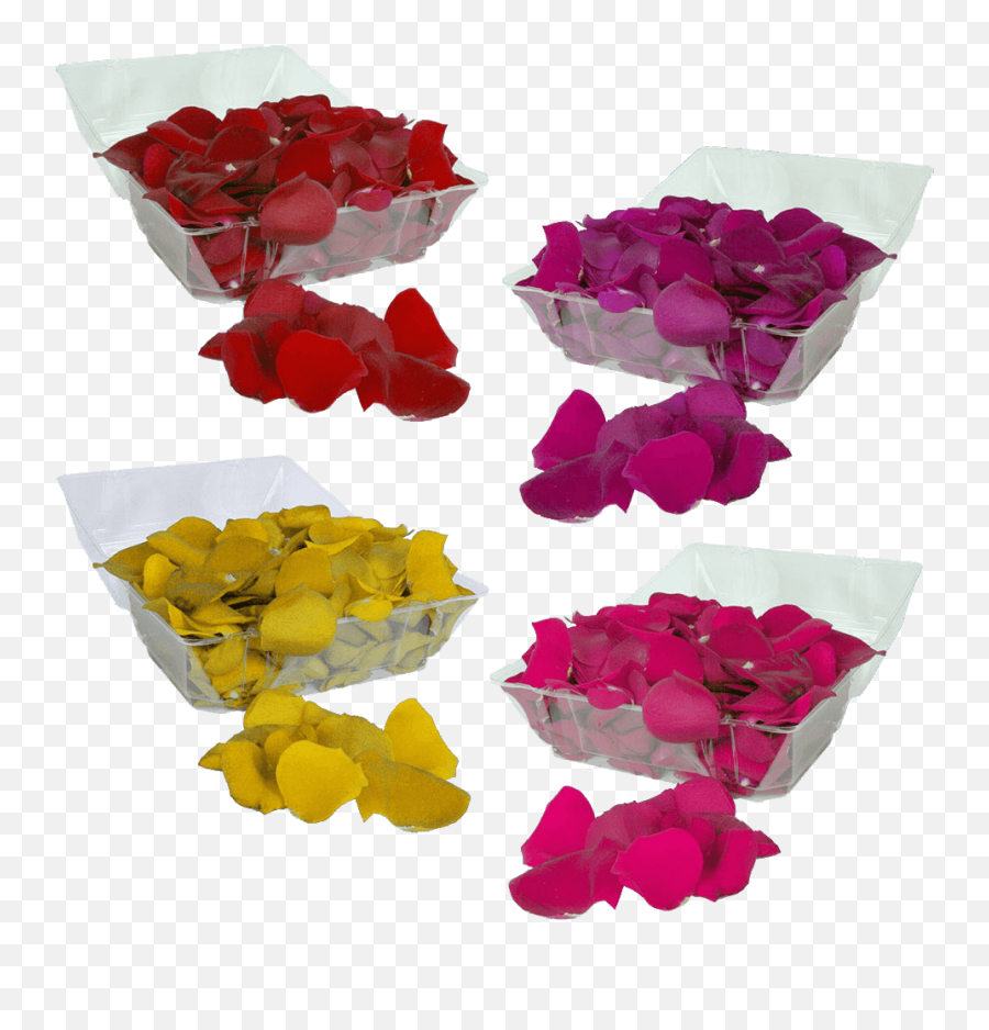 Buy Your Choice Of Rose Petals - Lovely Png,Rose Petals Transparent