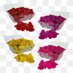 Buy Your Choice Of Rose Petals - Lovely png