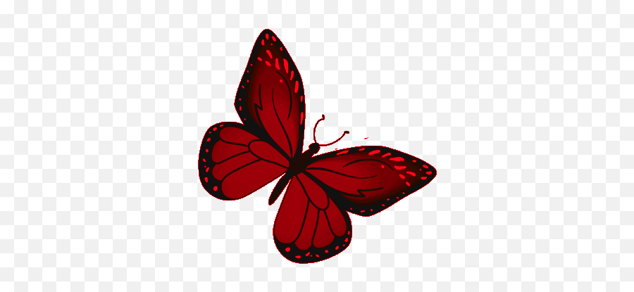 Butterfly Red Gif - Butterfly Red Monarch Discover U0026 Share Red Butterfly Gif Png,Monarch Butterfly Icon