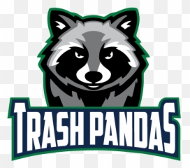 Des Moines Trash Pandas - Logo png
