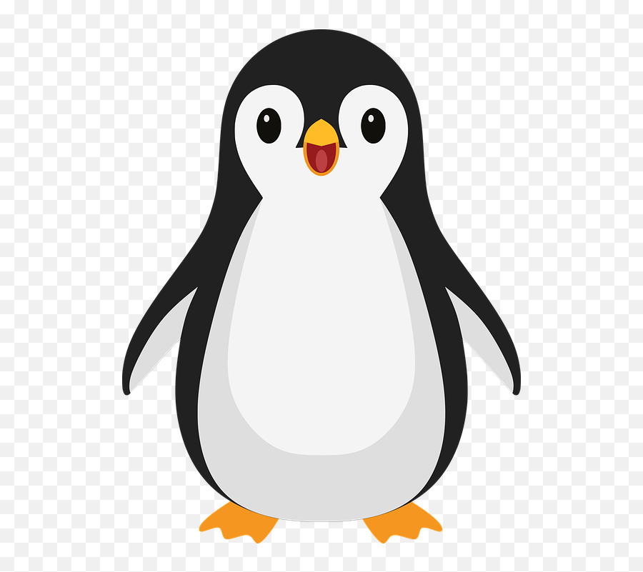 Penguin Bird Cartoon - Cartoon Cute Penguin Png,Cute Penguin Icon - free  transparent png images 