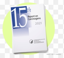 Federal List Of Carcinogens Gets An Update - Grist Grist Language Png,Ntp Icon
