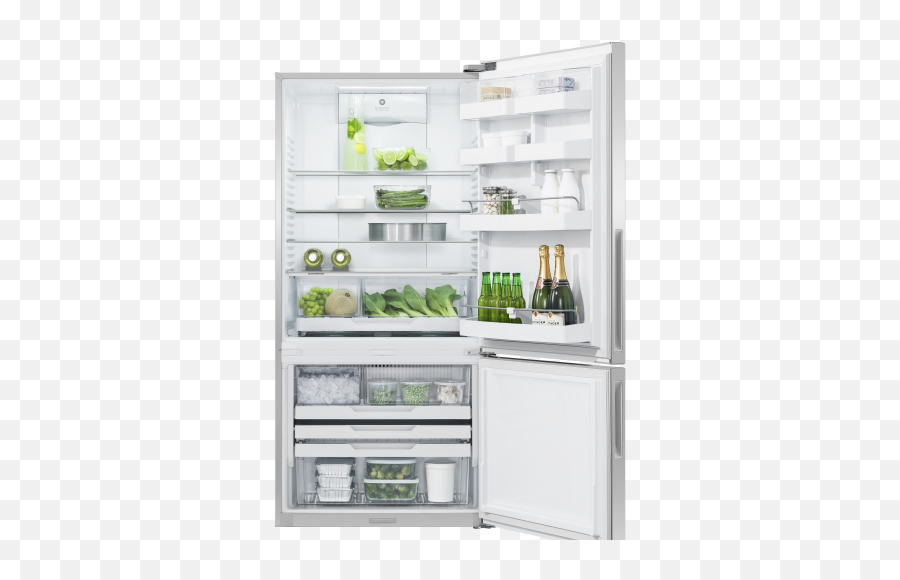 Fisher U0026 Paykel Series 5 175 Cu Ft Stainless Steel - Fisher Paykel Cu Ft Counter Depth Bottom Freezer Refrigerator Png,Fisher And Paykel Icon
