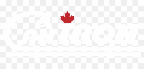 Caniron - Graphic Design Png,Retro Logo