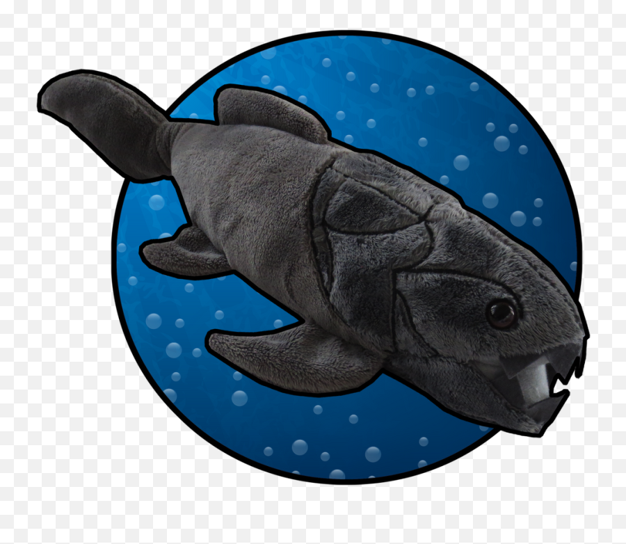 Paleozoic Pals Dunkleosteus Plush U2013 Paleontological Research Png Stuffed Animal Icon