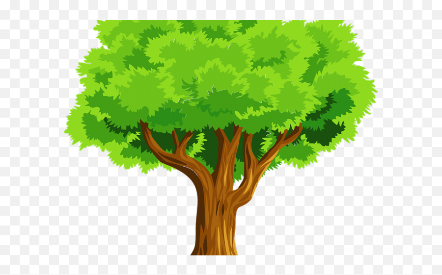 Clipcookdiarynet - Tree Clipart Transparent Background 17 Png,Tree Clipart Transparent Background