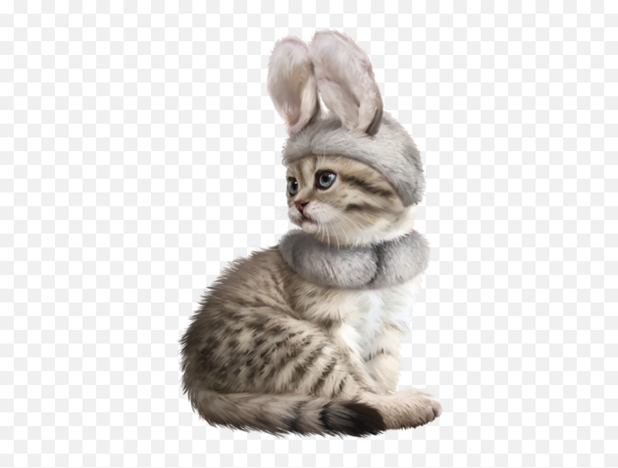 Kitty Ears Png Official Psds - Chaton Clipart,Ears Png