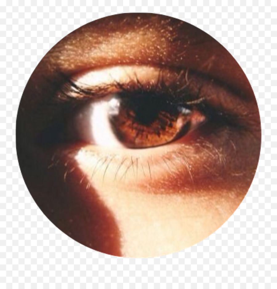 Download Tumblr Aesthetic Brown Eye - Brown Eyes Aesthetic Png,Brown Eyes Png