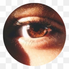 Download Tumblr Aesthetic Brown Eye - Eyes Png