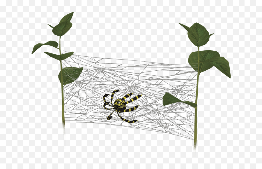 Arachnode - Pikipedia The Pikmin Wiki Spider Web Pikmin 3 Png,Spider Webs Png