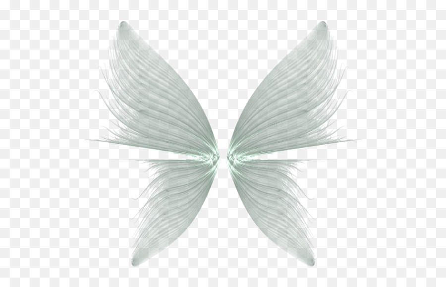 Butterfly Drawing Feather - Transparent Background Angel Wings Png,Butterfly Wings Png