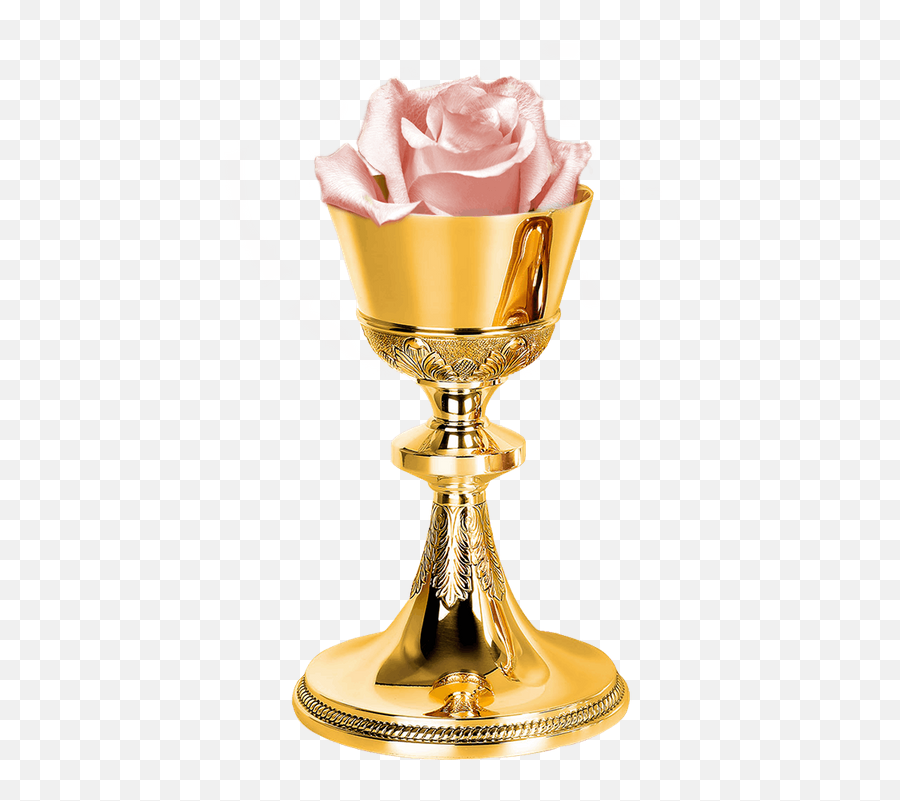 The Trinity Of Holy Grail - Chalice Png,Holy Grail Png