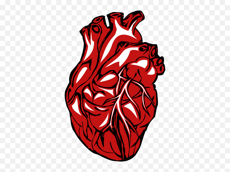 Hd Real Heart Png Clipart - Real Heart In Circle,Real Png