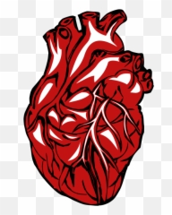 Hd Real Heart Png Clipart - In Circle