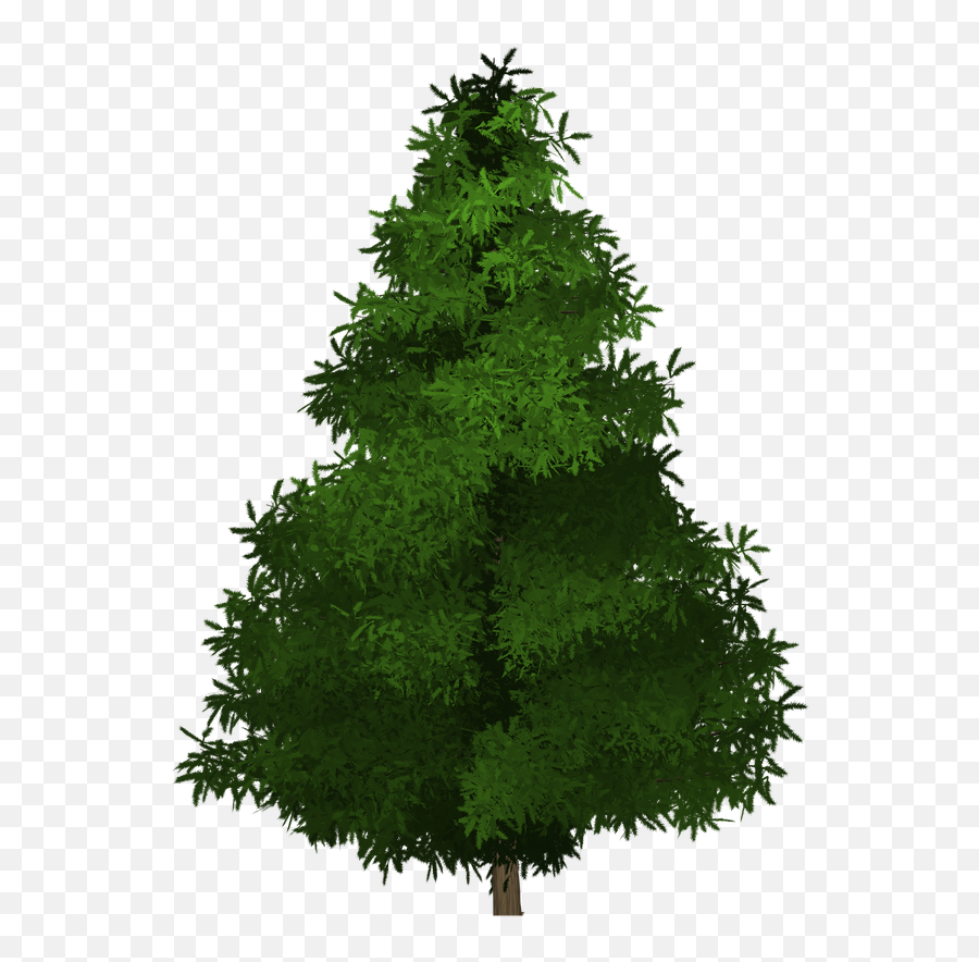 Spruce Tree Painted - Png,Spruce Tree Png
