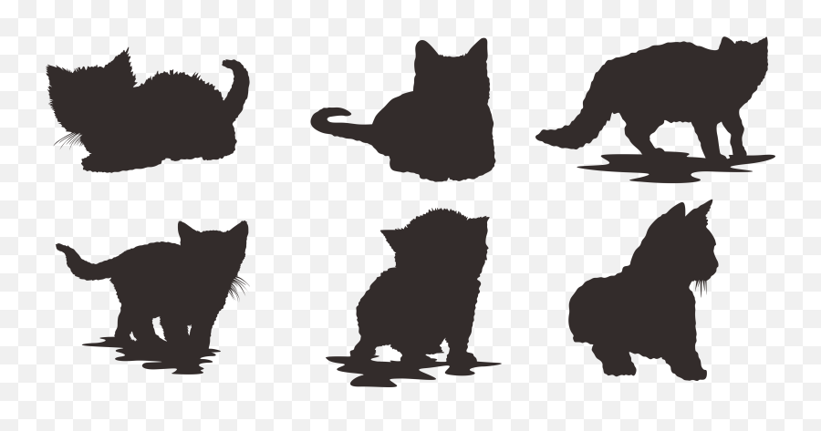 Animal - Domestic Cat Png,Cat Silhouette Png