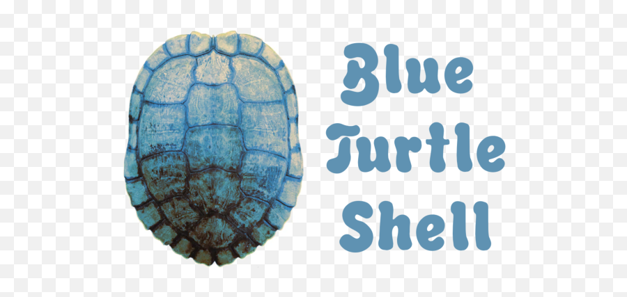 Welcome To Blue Turtle Shell - Tortoise Png,Shell Logo Png