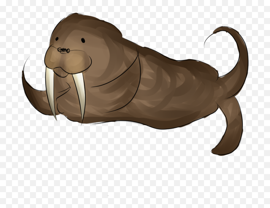 Download Drawn Walrus Transparent - Walrus With No Walrus Png,Walrus Png